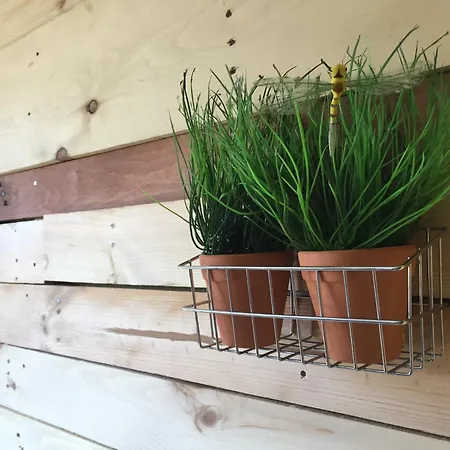 Apartamento Casa Tuca